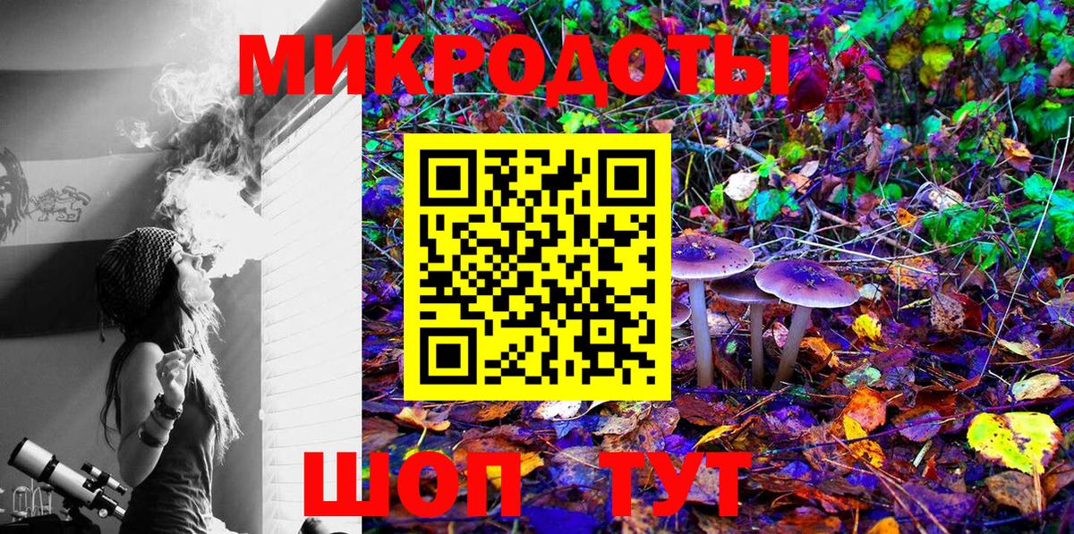 Галлюциногенные грибы Psilocybine cubensis  Вход с VPN  Псилоцибиновые грибы мухоморы  Железногорск 