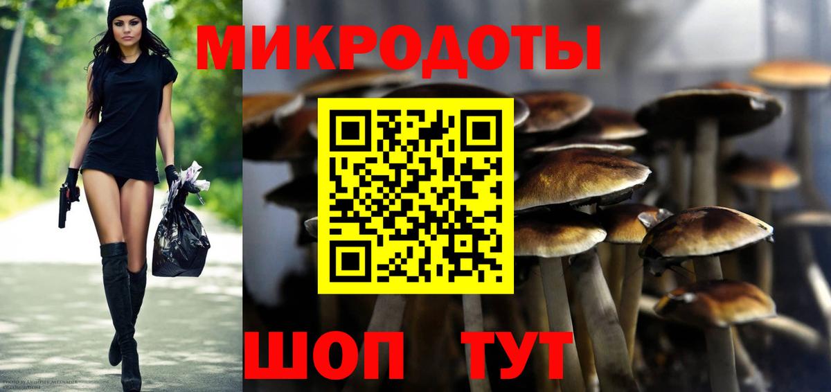 Псилоцибиновые грибы Cubensis Железногорск
